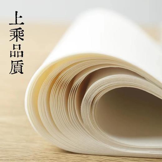 天天练宣纸四尺加厚生宣熟宣纸半生半熟书法国画写意山水花鸟考试作品创作69*138mm10张/包 商品图3