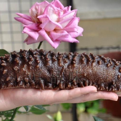 800g左右条梅花参海参【14】 商品图1