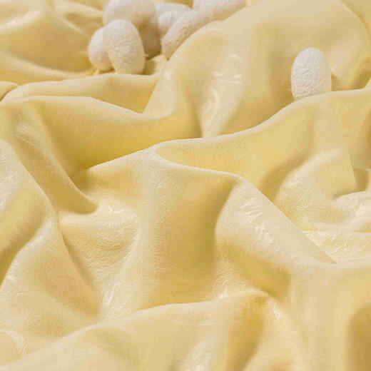 2023新款 钱皇 花时桑蚕丝被 春夏被 子母被 一张被子盖四季！吸湿透气贴身不压身 商品图3