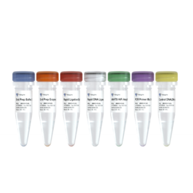 VAHTS Universal DNA Library Prep Kit for Illumina V4