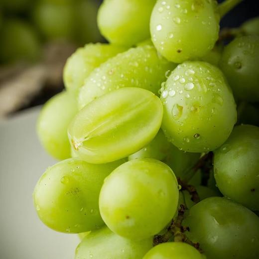 澳洲Sweet Globe甜地球青提（多退少补） 商品图2