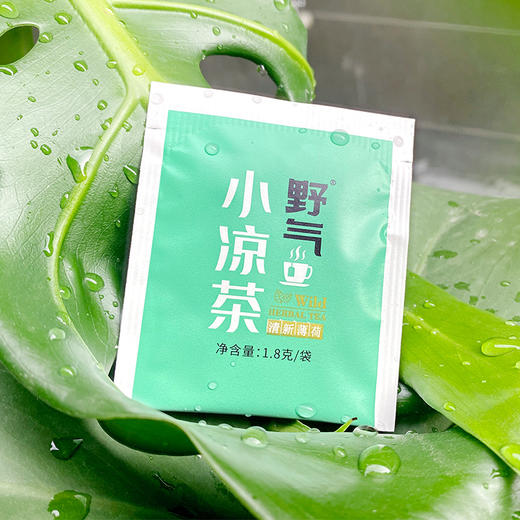 野气小凉茶草本原料袋泡茶干净卫生春夏饮品办公居家旅行携带方便 商品图3