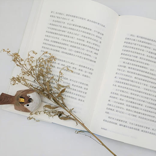 编结茅香：来自印第安文明的古老智慧与植物的启迪（自然文库） [美]罗宾•沃尔•基默尔 著 侯畅 译 商务印书馆 商品图9