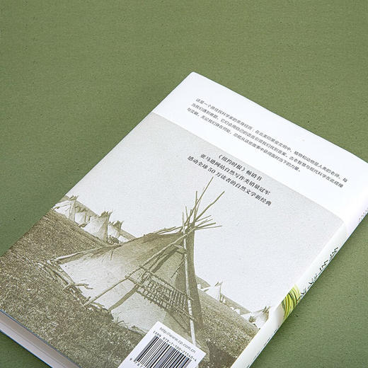 编结茅香：来自印第安文明的古老智慧与植物的启迪（自然文库） [美]罗宾•沃尔•基默尔 著 侯畅 译 商务印书馆 商品图7