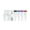 TruePrep Flexible DNA Library Prep Kit for Illumina 商品缩略图0