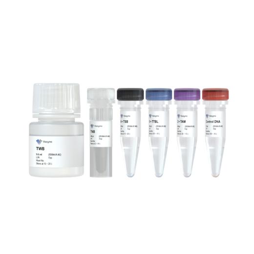 TruePrep Flexible DNA Library Prep Kit for Illumina 商品图0