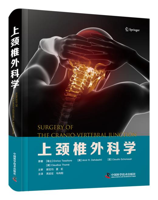 上颈椎外科学 高延征 马向阳主译 骨科医学译著 商品图1