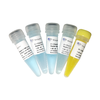 ChamQ SYBR Color qPCR Master Mix (Low ROX Premixed) 商品缩略图0