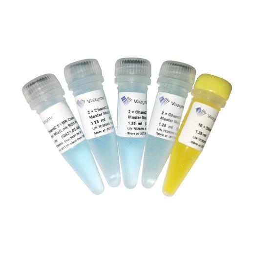 ChamQ SYBR Color qPCR Master Mix (Low ROX Premixed) 商品图0