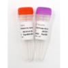 VAHTS Target Capture Universal Blockers and Post-PCR Primer Mix for Illumina-TS 商品缩略图0