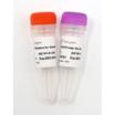 VAHTS Target Capture Universal Blockers and Post-PCR Primer Mix for Illumina-TS 商品图0