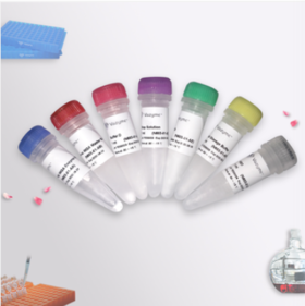 Hyperactive pA-Tn5 Transposase for CUT&Tag