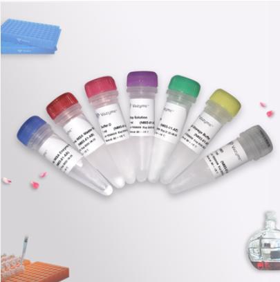 Hyperactive pA-Tn5 Transposase for CUT&Tag 商品图0