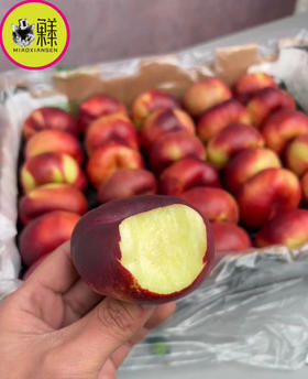 新品🆕智利油蟠桃（脆香浓）（快递2Kg起）