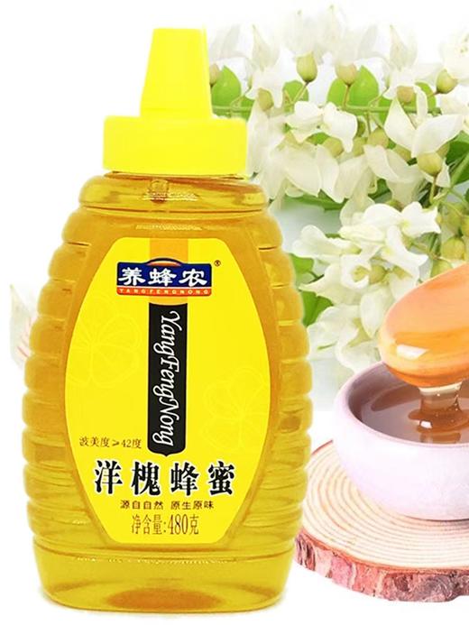 周氏洋槐蜂蜜480克 商品图0