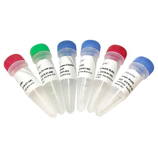 Mut Express MultiS Fast Mutagenesis Kit V2 商品图0