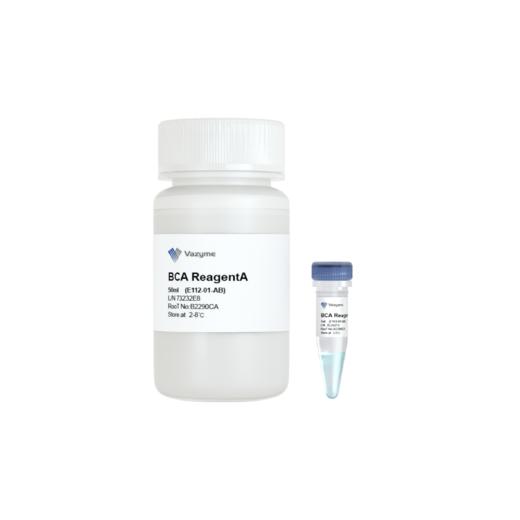 BCA Protein Quantification Kit 商品图1