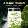 2026新茶• 早春毛尖250克 全是茶毛毛的好茶 商品缩略图3