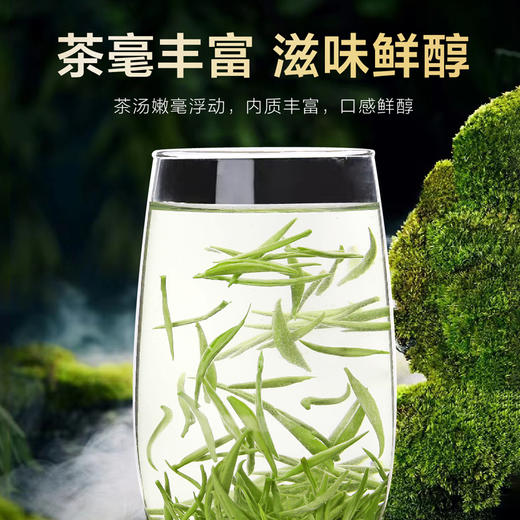 2026新茶• 早春毛尖250克 全是茶毛毛的好茶 商品图3