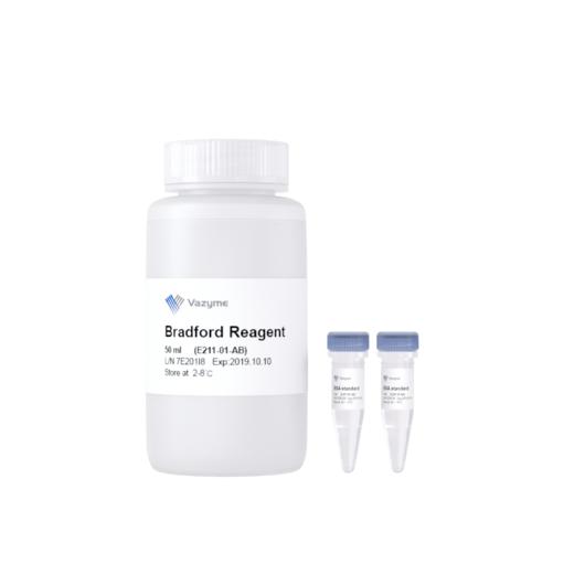 Detergent Compatible Bradford Protein Quantification Kit 商品图0