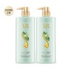 【关晓彤同款】舒蕾绿茶籽控油去屑洗发露500ml*2支 商品缩略图0
