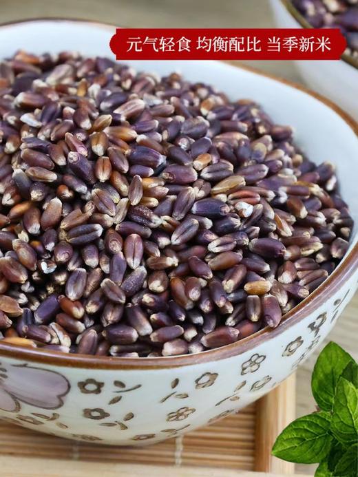 黑小麦仁500g 商品图2