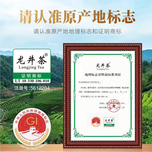 2026新茶 • 早春龙井100克，鲜香嫩 商品图5