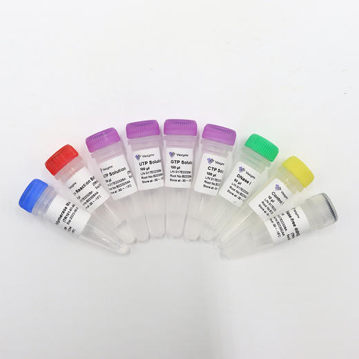 T7 High Yield RNA Transcription Kit 商品图0