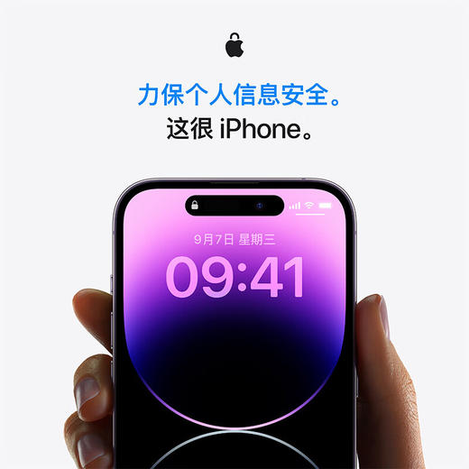 Apple iPhone 14 Pro (A2892) 256GB 支持移动联通电信5G 双卡双待手机 商品图6