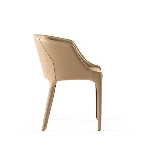 戈尔迪餐椅 商品图2