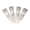 ChamQ SYBR qPCR Master Mix  (Low ROX Premixed) 商品缩略图0