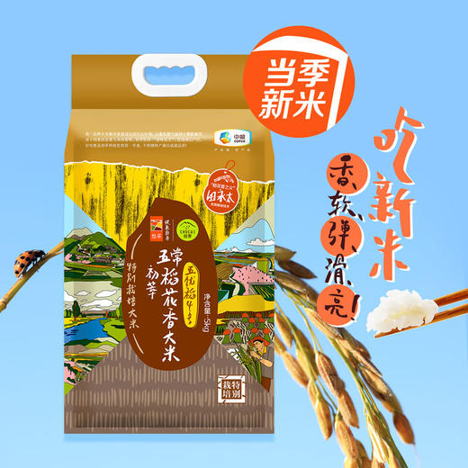 【当季新米】中粮初萃 五优稻4号五常特别栽培稻花香大米5kg 商品图0