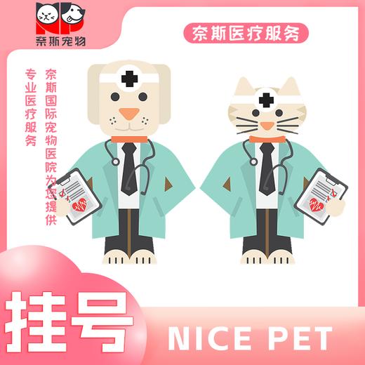 宠物医疗挂号费 商品图0