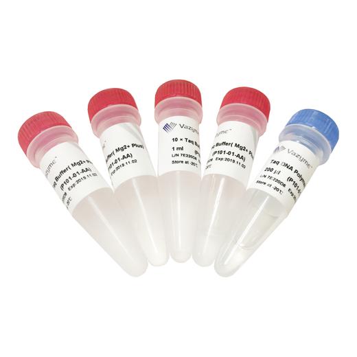 Taq DNA Polymerase (Mg2+ plus Buffer) 商品图0