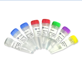 VAHTS Universal Pro DNA Library Prep Kit for MGI