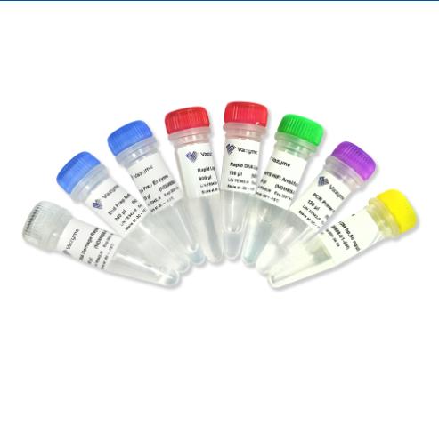 VAHTS Universal Pro DNA Library Prep Kit for MGI 商品图0