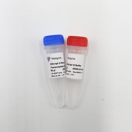 Hiscript III Reverse Transcriptase 商品图0