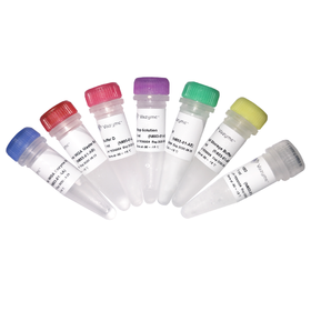 Discover-sc Single Cell WGA Kit