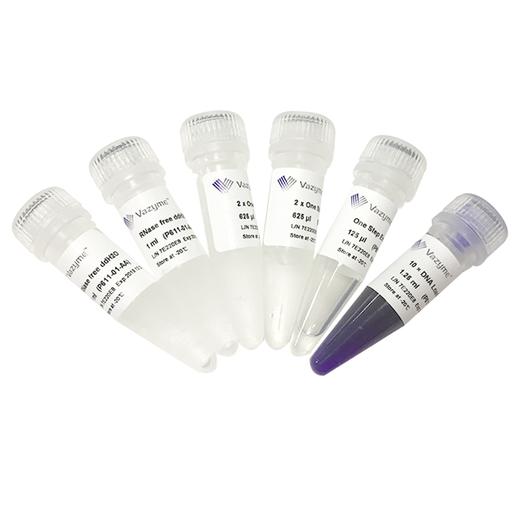 HiScript II One Step RT-PCR Kit 商品图0