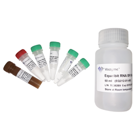 Equalbit RNA BR Assay Kit