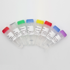 VAHTS Universal Plus DNA Library Prep Kit for MGI