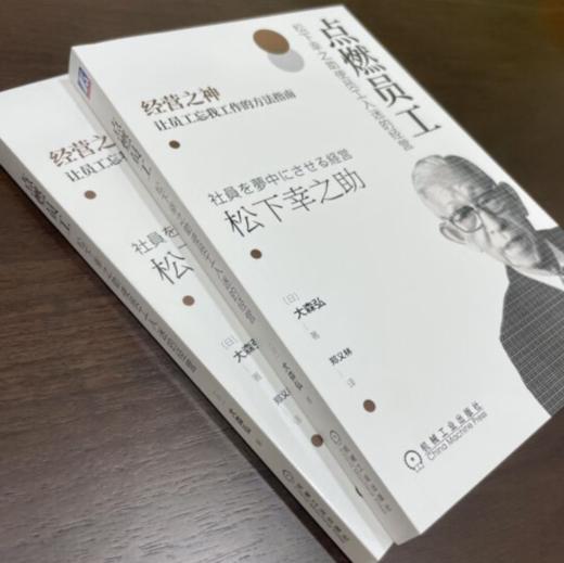 点燃员工：松下幸之助使员工入迷的经营 商品图2