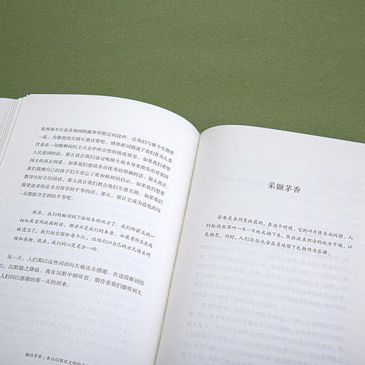 编结茅香：来自印第安文明的古老智慧与植物的启迪（自然文库） [美]罗宾•沃尔•基默尔 著 侯畅 译 商务印书馆 商品图4