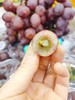 进口大粒红提2斤（拼团） 商品缩略图3