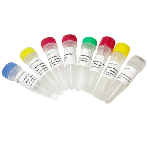 VAHTS AmpSeq Library Prep Kit V2 商品图1