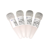 ChamQ SYBR qPCR Master Mix (High ROX Premixed) 商品缩略图0