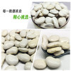 有机白芸豆 340g*3袋 商品缩略图8
