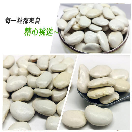 有机白芸豆 340g*3袋 商品图8