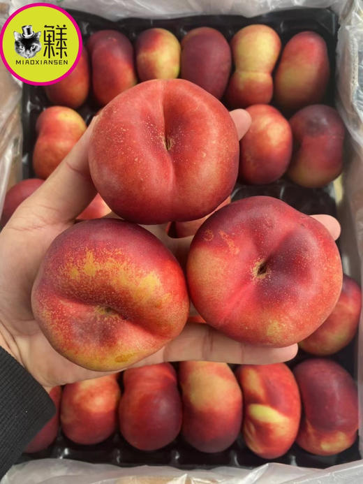 新品🆕智利油蟠桃（脆香浓）（快递2Kg起） 商品图1