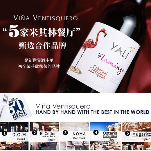 【连续3年智利一级庄】火烈鸟赤霞珠干红葡萄酒 智利中央山谷产区 商品图2